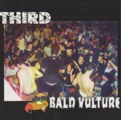 Bald Vulture : Third